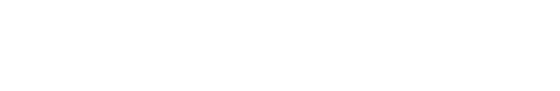 Item 5